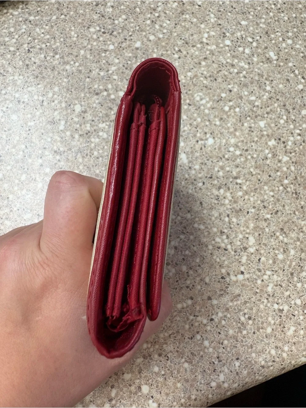 Longaberger Multicolor Striped Canvas Wallet - Red Trim